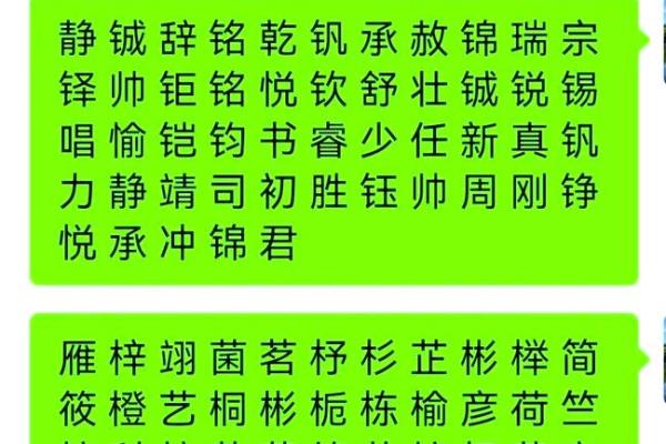 缺火男孩取名100分，缺火男孩取名宝典
