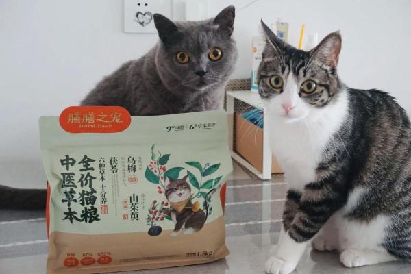 中华田园猫取名大全，中华田园猫猫粮一般买哪种