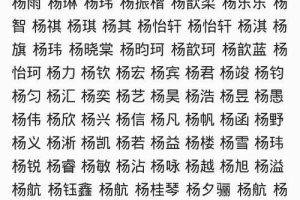 男孩带杨字名字大全集，男孩名字杨什么好听