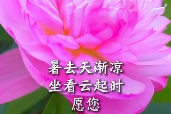 农历2月19日是什么日子，农历2月19日是什么日子呢