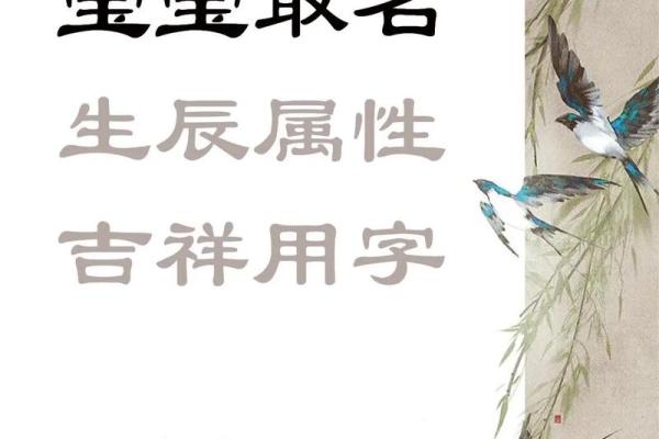 给田宝宝起名俩字 田字女宝取名，田字女生起名