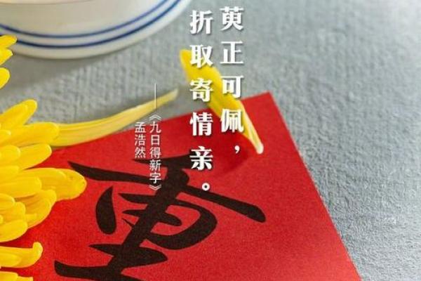 2月初九是什么日子，农历12月初九是什么日子