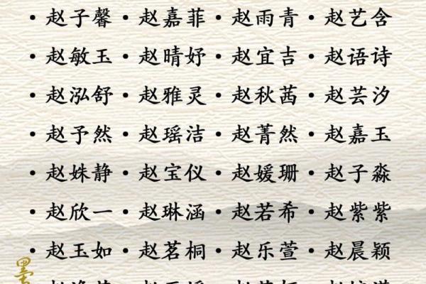男孩名字什么好听带维，男孩名字赵什么好听