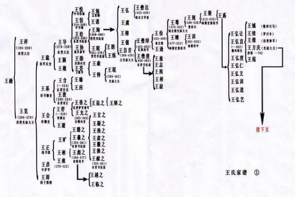 男孩名字叫王华贤，王姓华字辈男孩名字大全