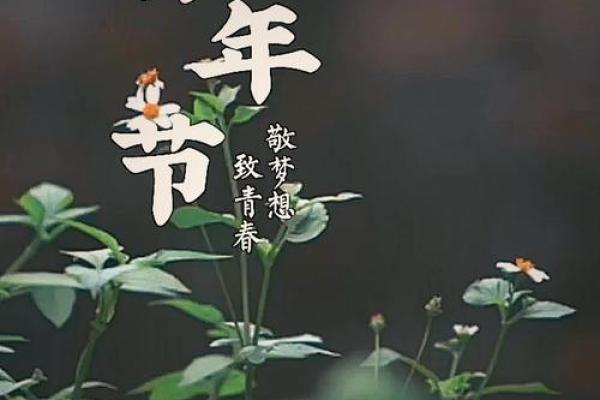 5月4日青年节结婚好吗(5月4日青年节是干什么的)