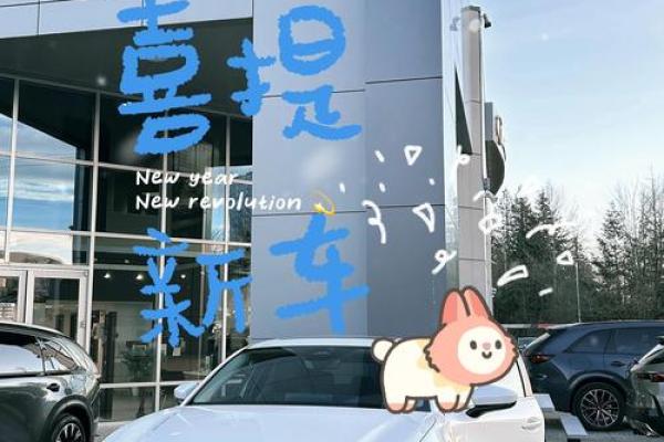 2025年提车最佳日子