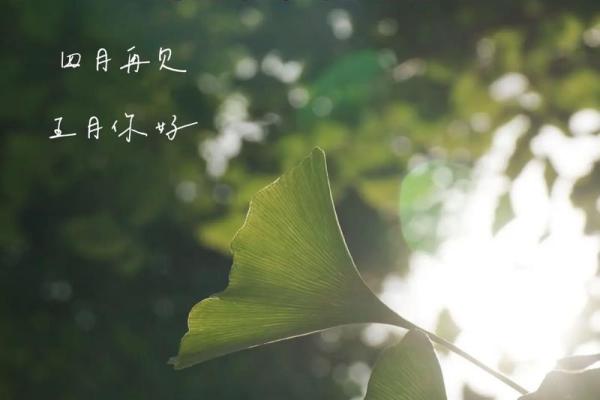 2025年8月适合安葬的吉利日期有哪些