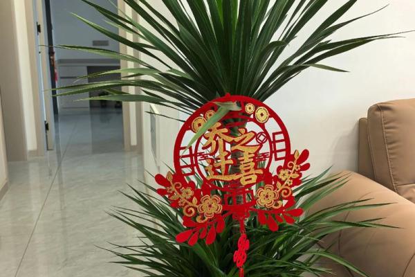 2025年7月新房乔迁入住的好日子(2025年7月新房乔迁入住的好日子是)