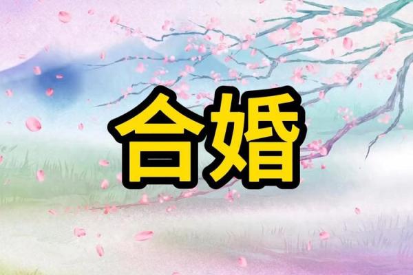 2025年农历八月初八订婚好不好 八字合婚与择日注意事项