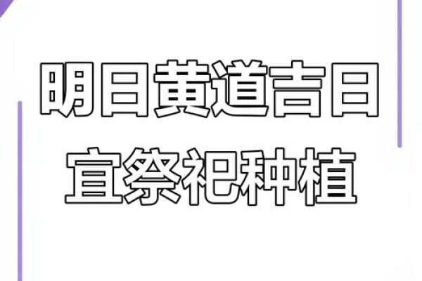 2025年8月生肖鼠适合开业的黄道吉日有哪些注意事项