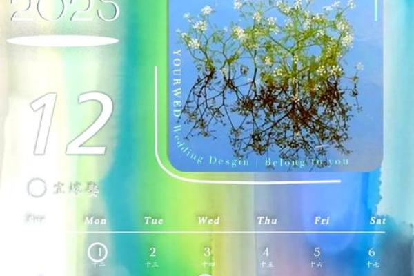 2025.8嫁娶最旺的日子