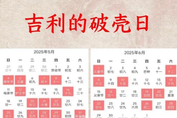 2025蛇的最佳结婚吉日