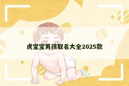 虎宝宝男孩取名大全2025款