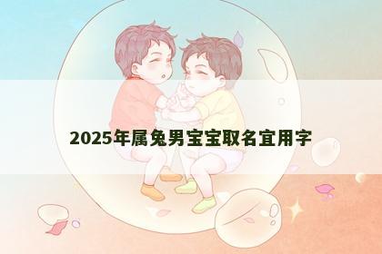 2025年属兔男宝宝取名宜用字