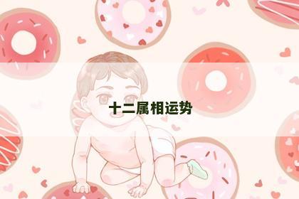 十二属相运势