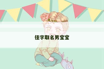 佳字取名男宝宝