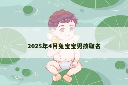 2025年4月兔宝宝男孩取名