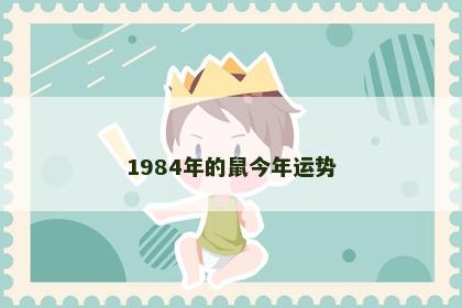 1984年的鼠今年运势