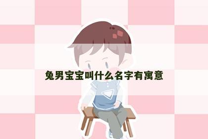 兔男宝宝叫什么名字有寓意