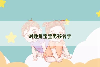刘姓兔宝宝男孩名字