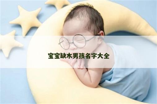 宝宝缺木男孩名字大全