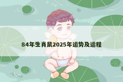84年生肖鼠2025年运势及运程