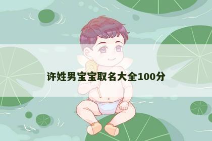 许姓男宝宝取名大全100分