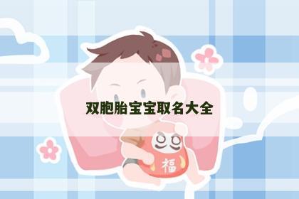 双胞胎宝宝取名大全