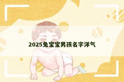 2025兔宝宝男孩名字洋气