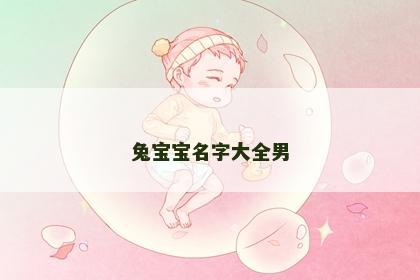 兔宝宝名字大全男