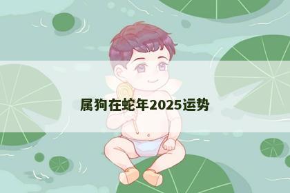 属狗在蛇年2025运势