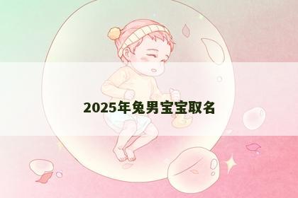 2025年兔男宝宝取名