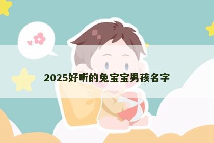 2025好听的兔宝宝男孩名字