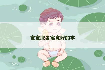 宝宝取名寓意好的字