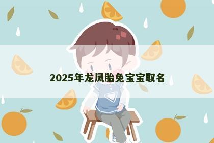 2025年龙凤胎兔宝宝取名