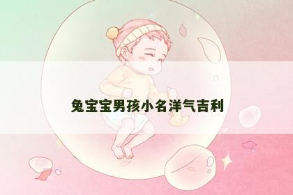 兔宝宝男孩小名洋气吉利