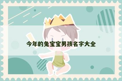今年的兔宝宝男孩名字大全