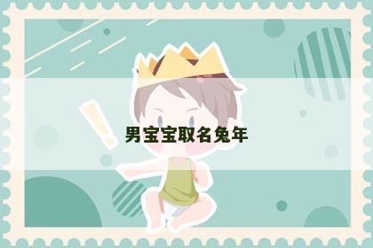 男宝宝取名兔年