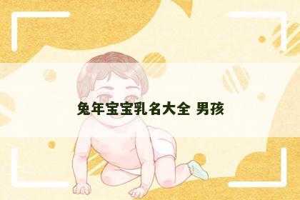 兔年宝宝乳名大全 男孩