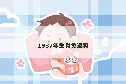 1987年生肖兔运势