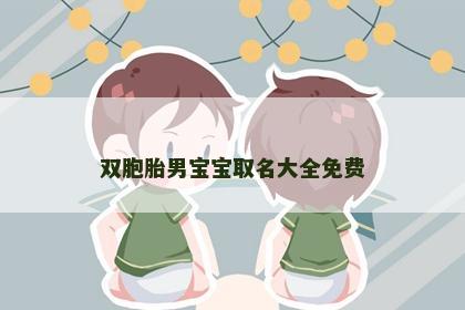 双胞胎男宝宝取名大全免费