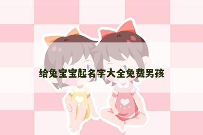 给兔宝宝起名字大全免费男孩