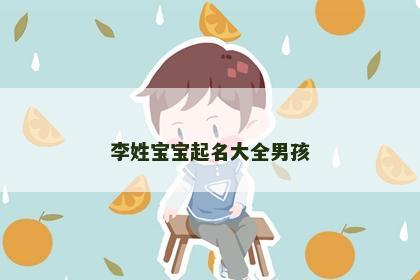 李姓宝宝起名大全男孩