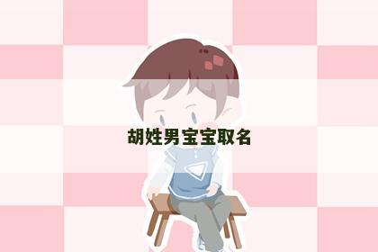 胡姓男宝宝取名