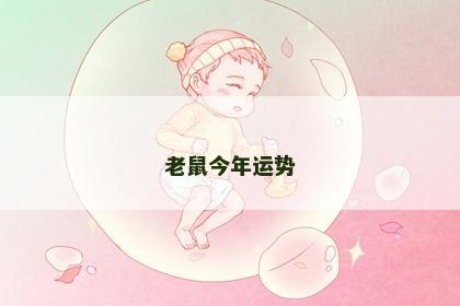 老鼠今年运势