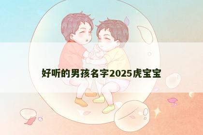 好听的男孩名字2025虎宝宝