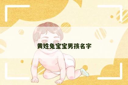 黄姓兔宝宝男孩名字