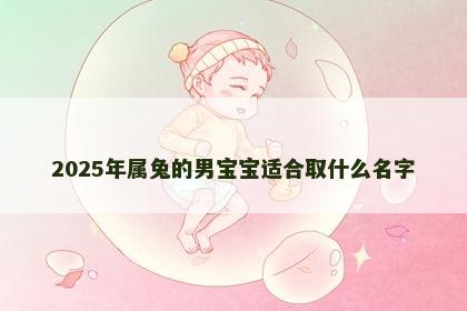 2025年属兔的男宝宝适合取什么名字