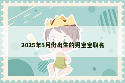 2025年5月份出生的男宝宝取名