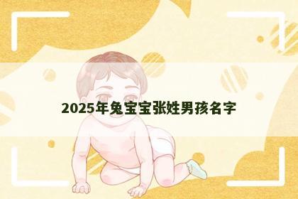2025年兔宝宝张姓男孩名字